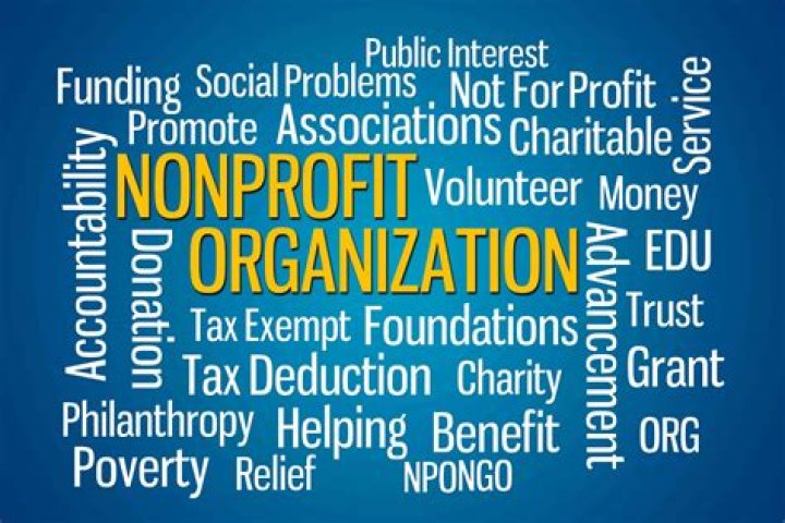 Can a nonprofit organization go public?
