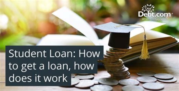Can defaulted loans be rehabilitated?