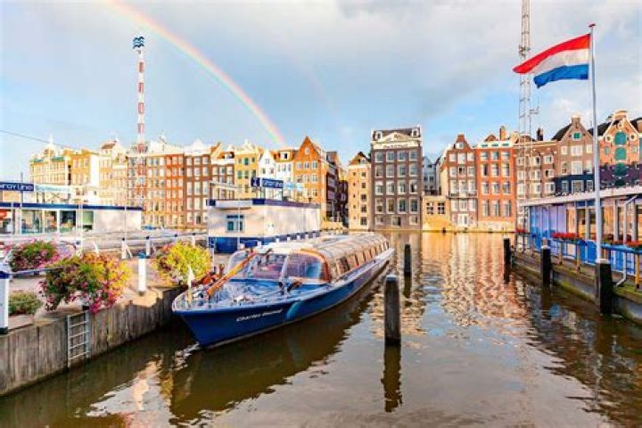 Can I move to the Netherlands as a freelancer?