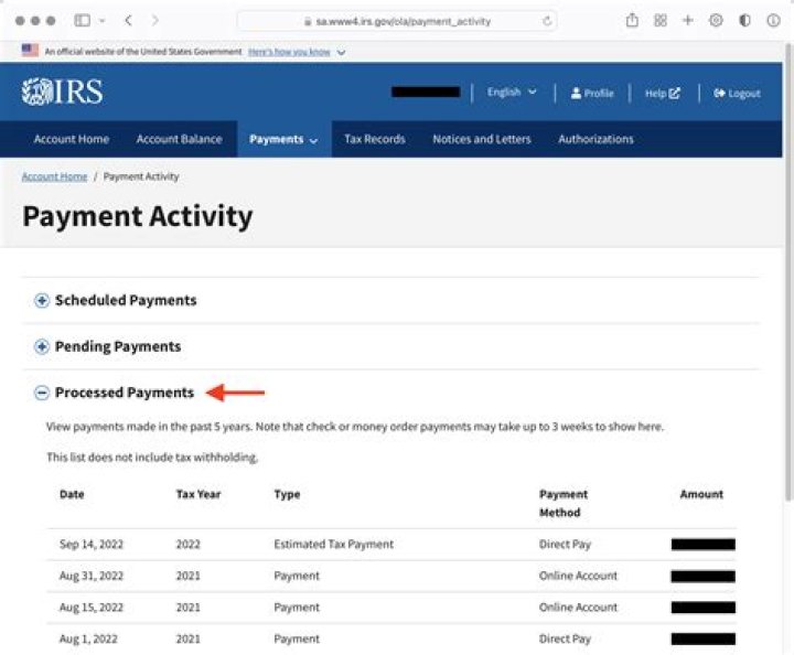 Can IRS payments be made online?