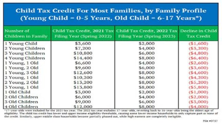 Can you get money back on taxes for daycare?