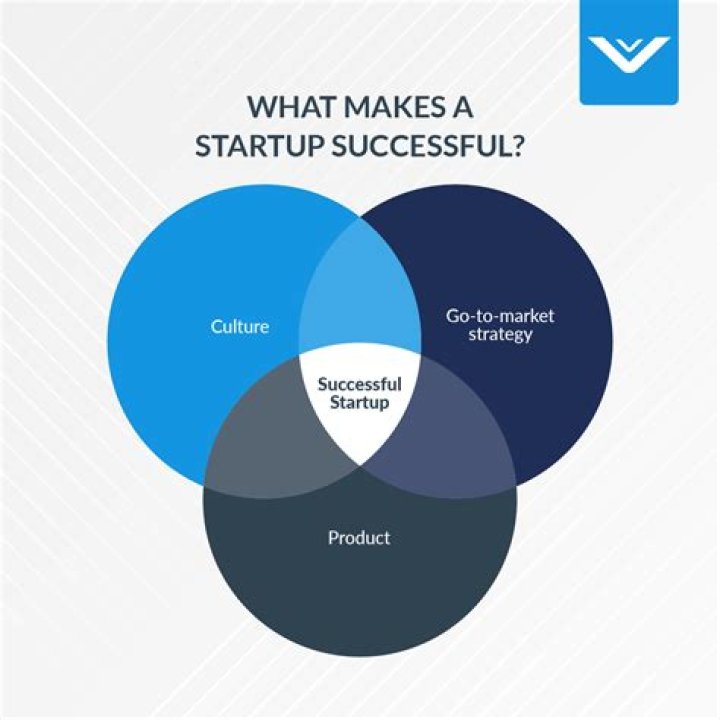 Do startups use consultants?