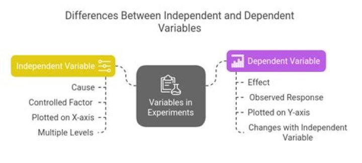Does a dependent have an AGI?