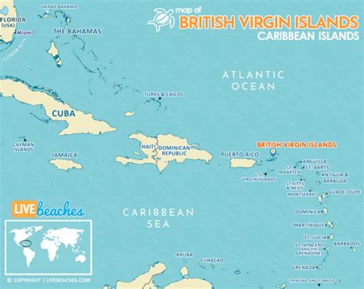 Does the United States have a tax treaty with the British Virgin Islands?