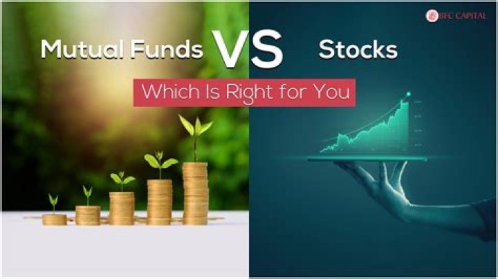 How do I know if a mutual fund is undervalued?