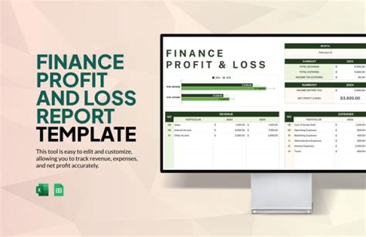 How do you report net profit?