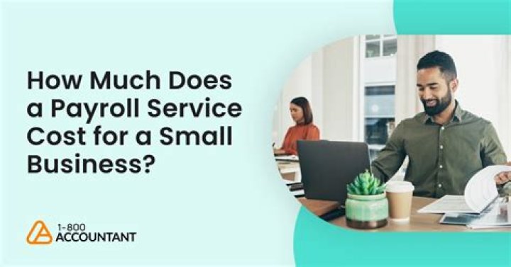 How much do businesses pay for payroll services?