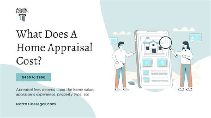 How much does a professional appraisal cost?