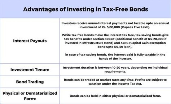 Is it good to invest in tax free bonds?