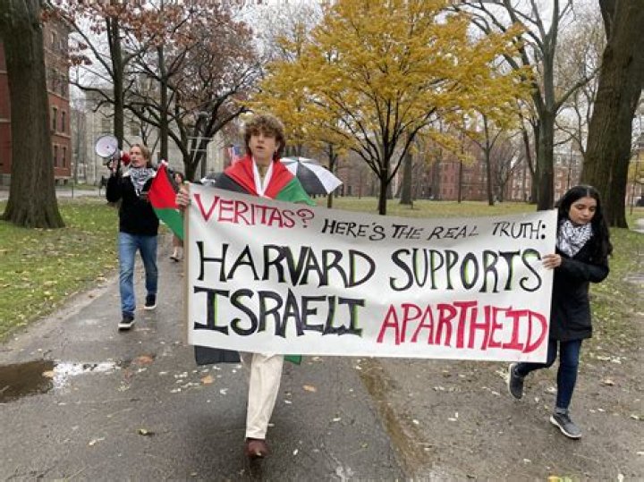 Is world history taught in American schools?