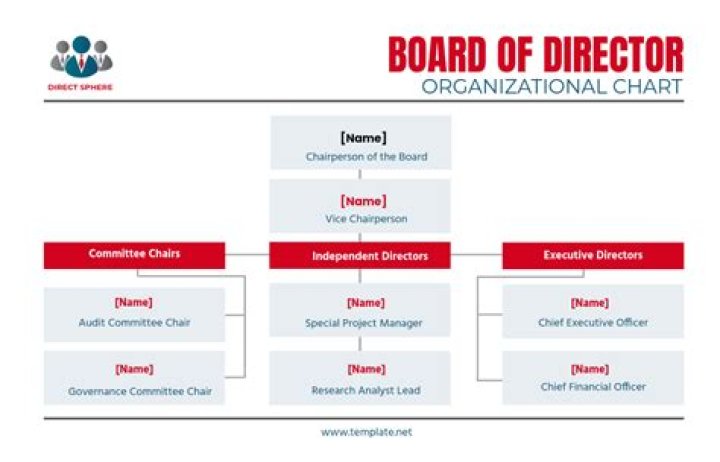What does a volunteer board of directors do?