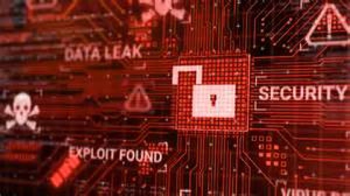 What happens if you report unauthorized activity on PayPal?