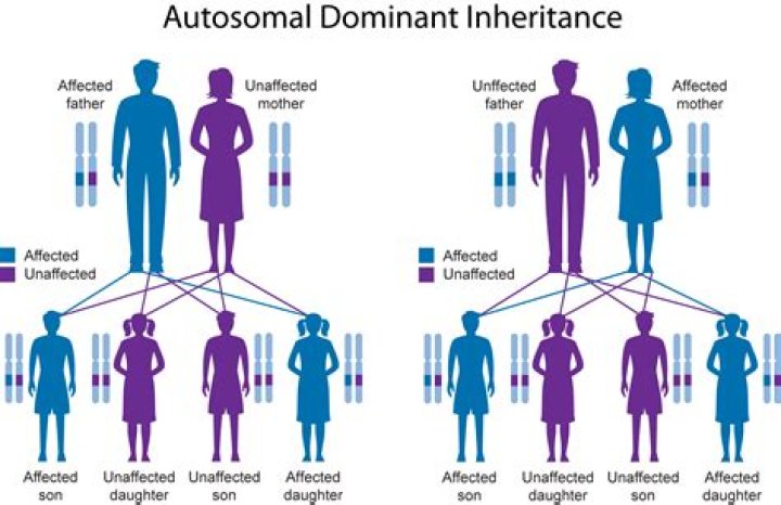 What happens to inheritance if not claimed?