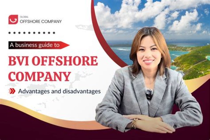 What Is a BVI holding company?
