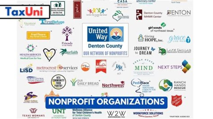 What is a nonprofit or government organization?