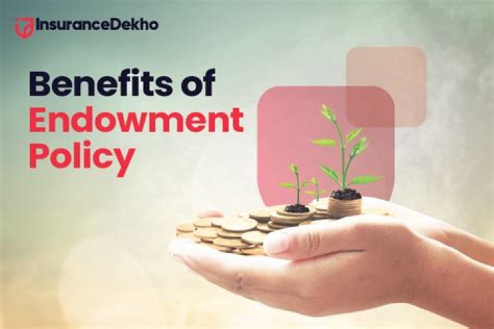 What is a UK endowment policy?