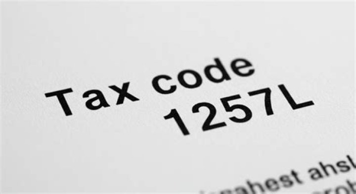 What is the tax code for independent contractor?